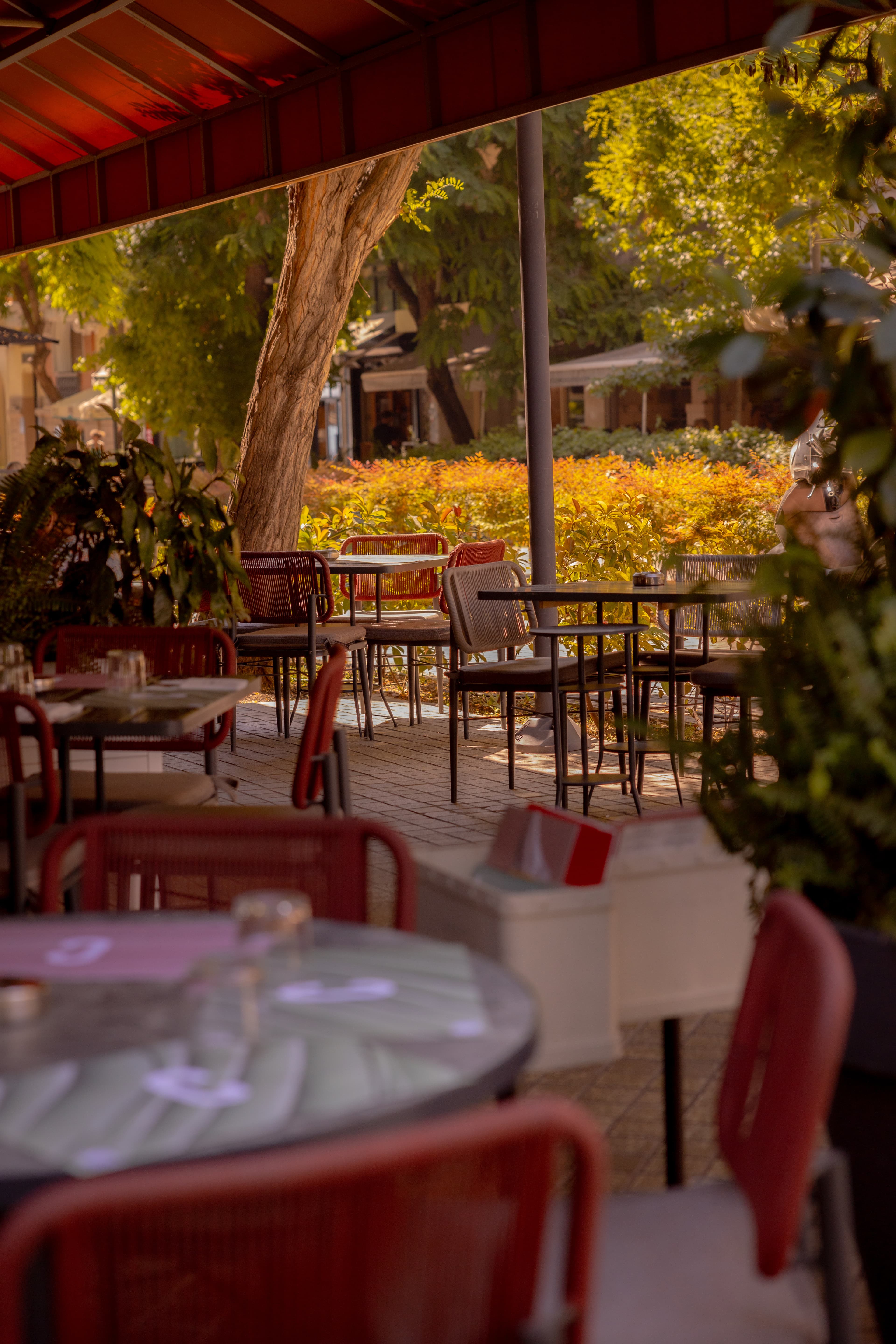 Canteen tables with ambient lighting